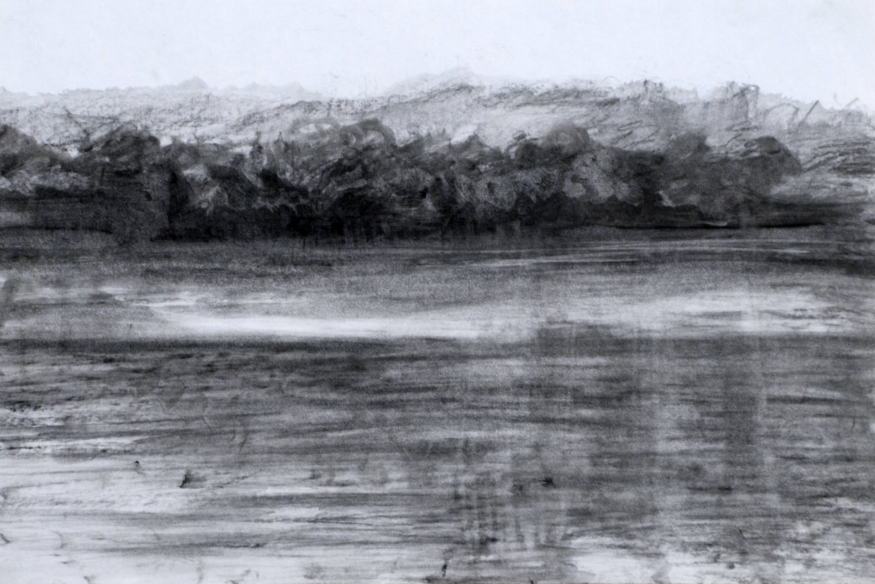 湖，2023 年（纸上油画和木炭） 作者 玛丽娜·法尔科