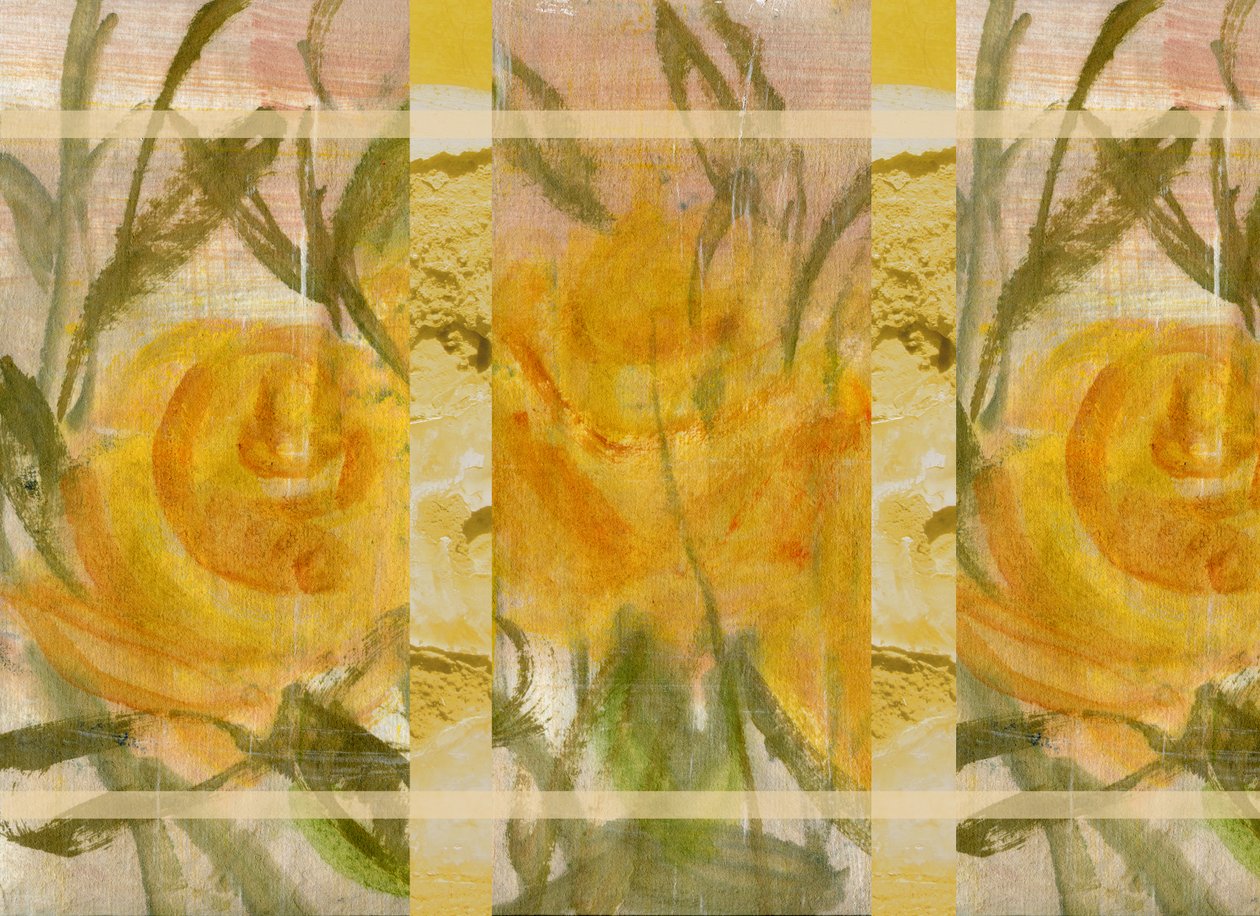 黄花 2 作者 玛丽娜·法尔科