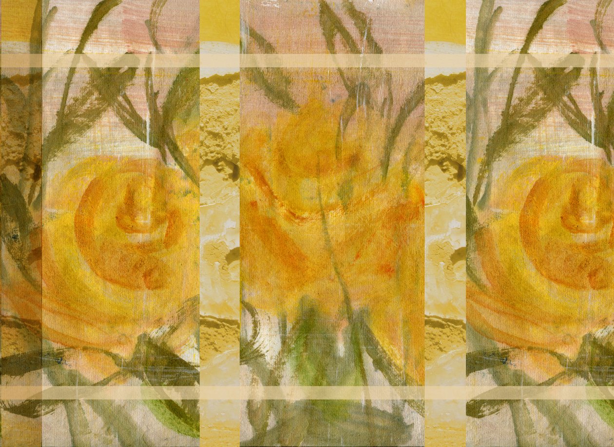 黄花 3 作者 玛丽娜·法尔科