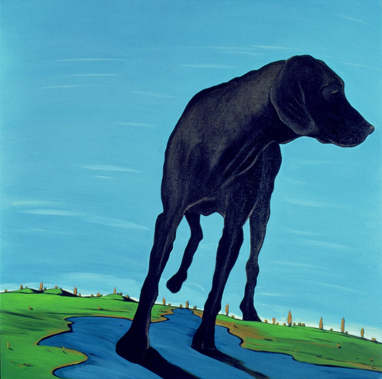Joes Black Dog（新视图），2000（画布上的丙烯酸） 作者 玛乔丽·韦斯（Marjorie Weiss）