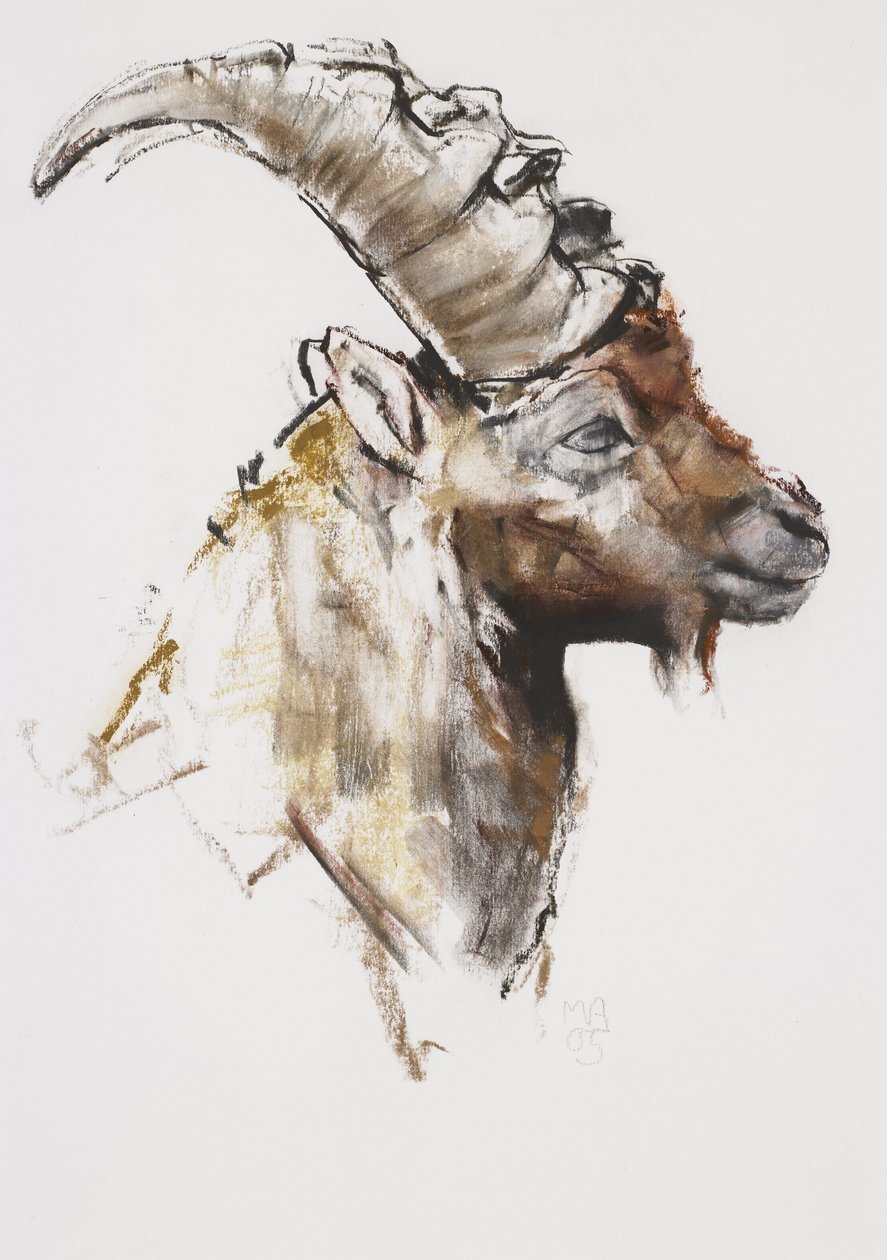Giovanotto，2005年（木炭和纸上谈话） 作者 马克·阿德灵顿