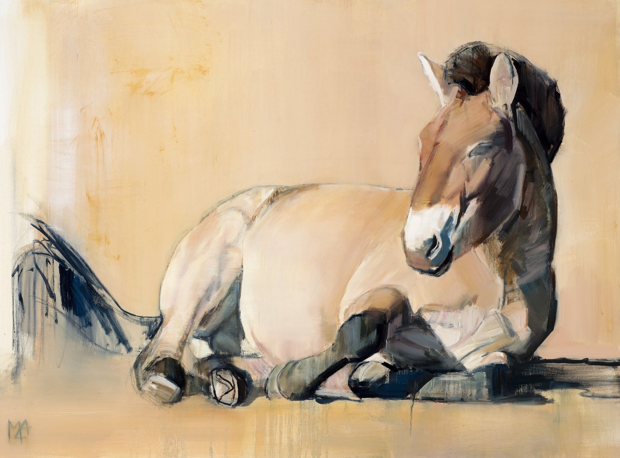 Plateau Sun（Przewalski），2014， 作者 马克·阿德灵顿