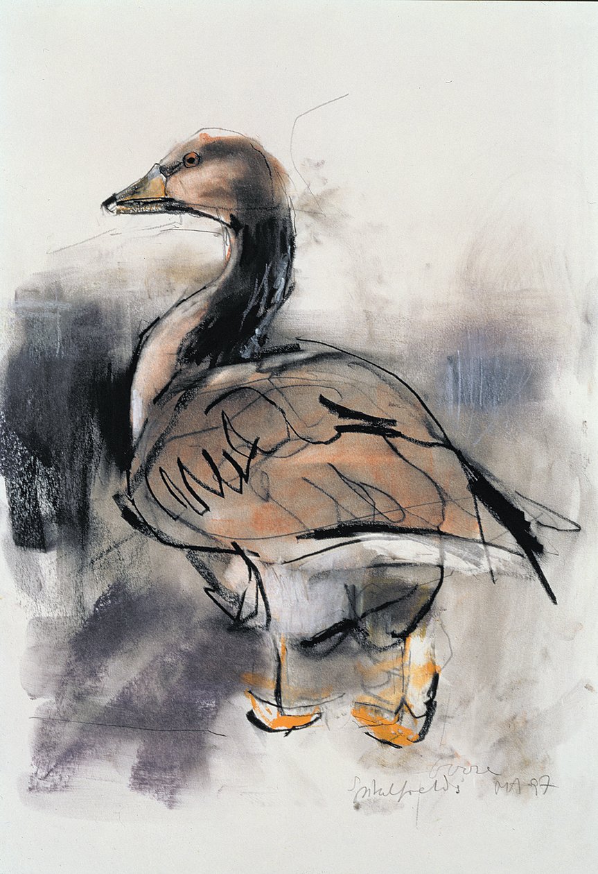 Spitalfields Goose，1997（石墨和纸上谈话） 作者 马克·阿德灵顿