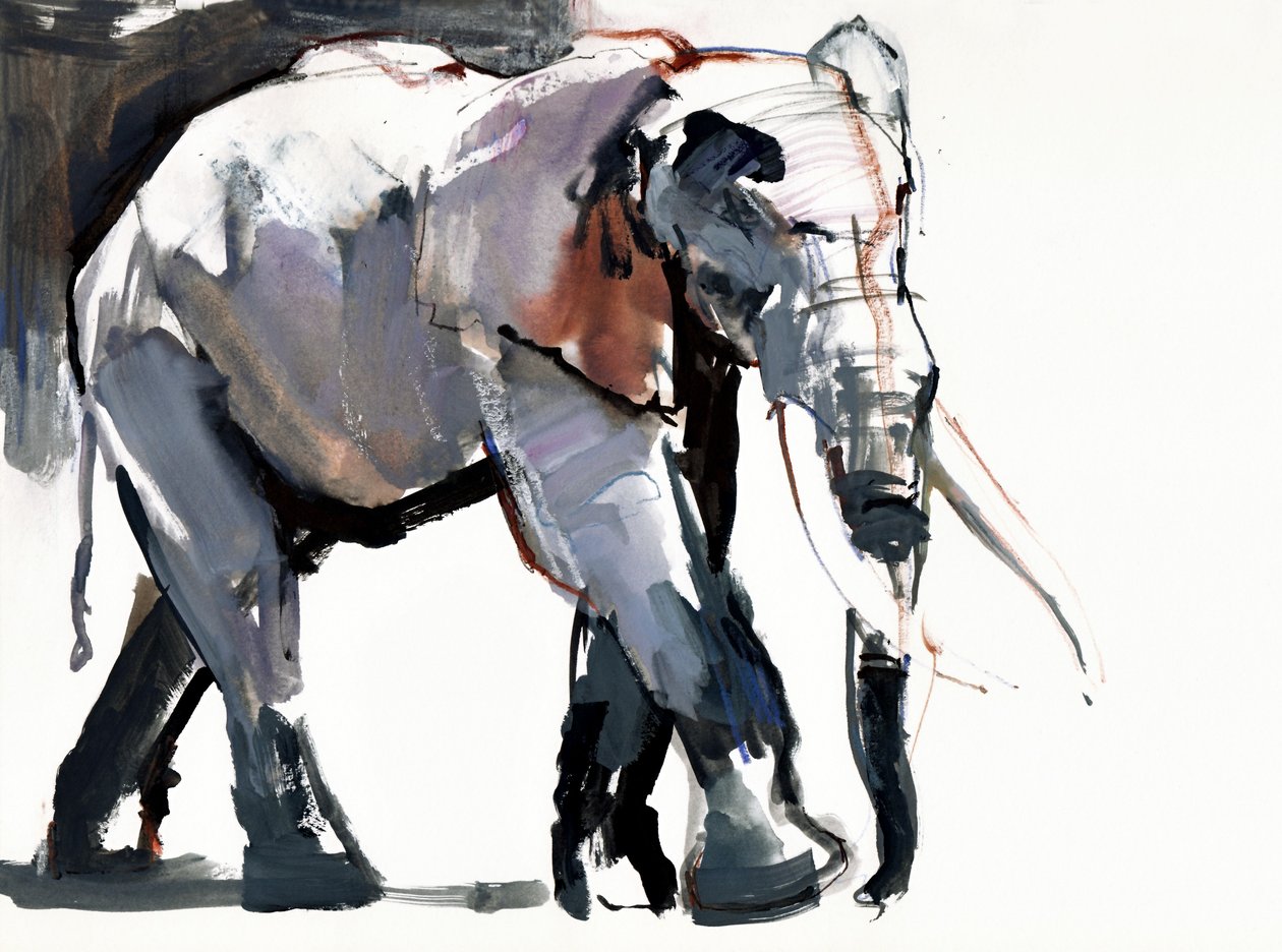 非洲大象，2012年，（纸上混合媒体） 作者 马克·阿德灵顿