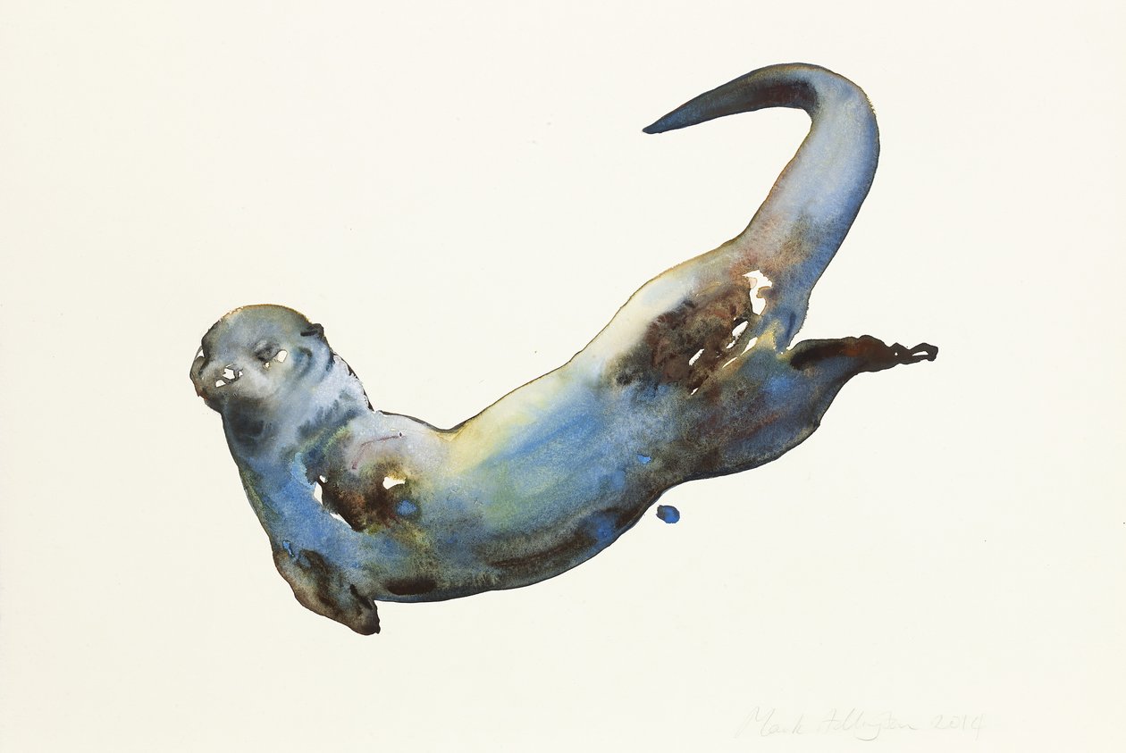 Aqua，2014，（纸上水彩） 作者 马克·阿德灵顿