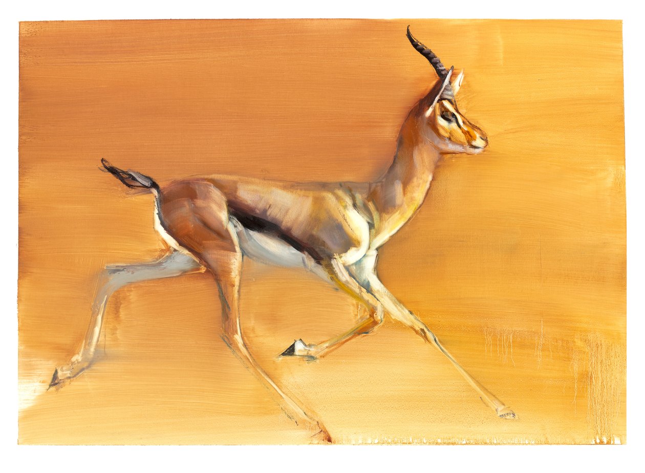 阿拉伯瞪羚，2010年（纸上谈兵） 作者 马克·阿德灵顿