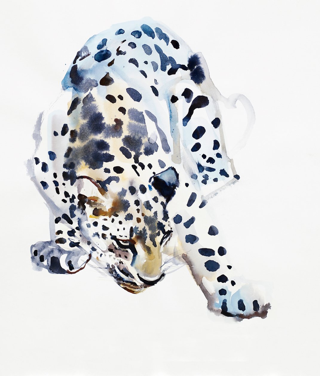 阿拉伯豹，2008年 作者 马克·阿德灵顿