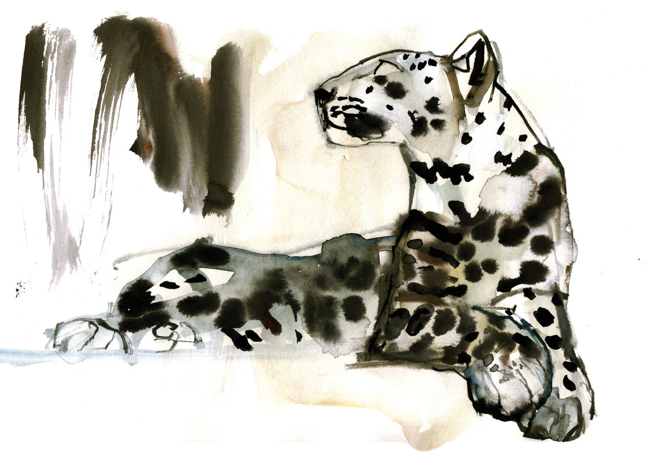 阿拉伯豹，2008年 作者 马克·阿德灵顿