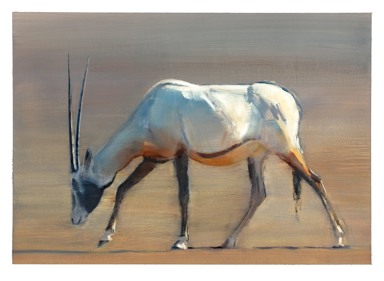 阿拉伯羚羊，2010年（纸上油） 作者 马克·阿德灵顿