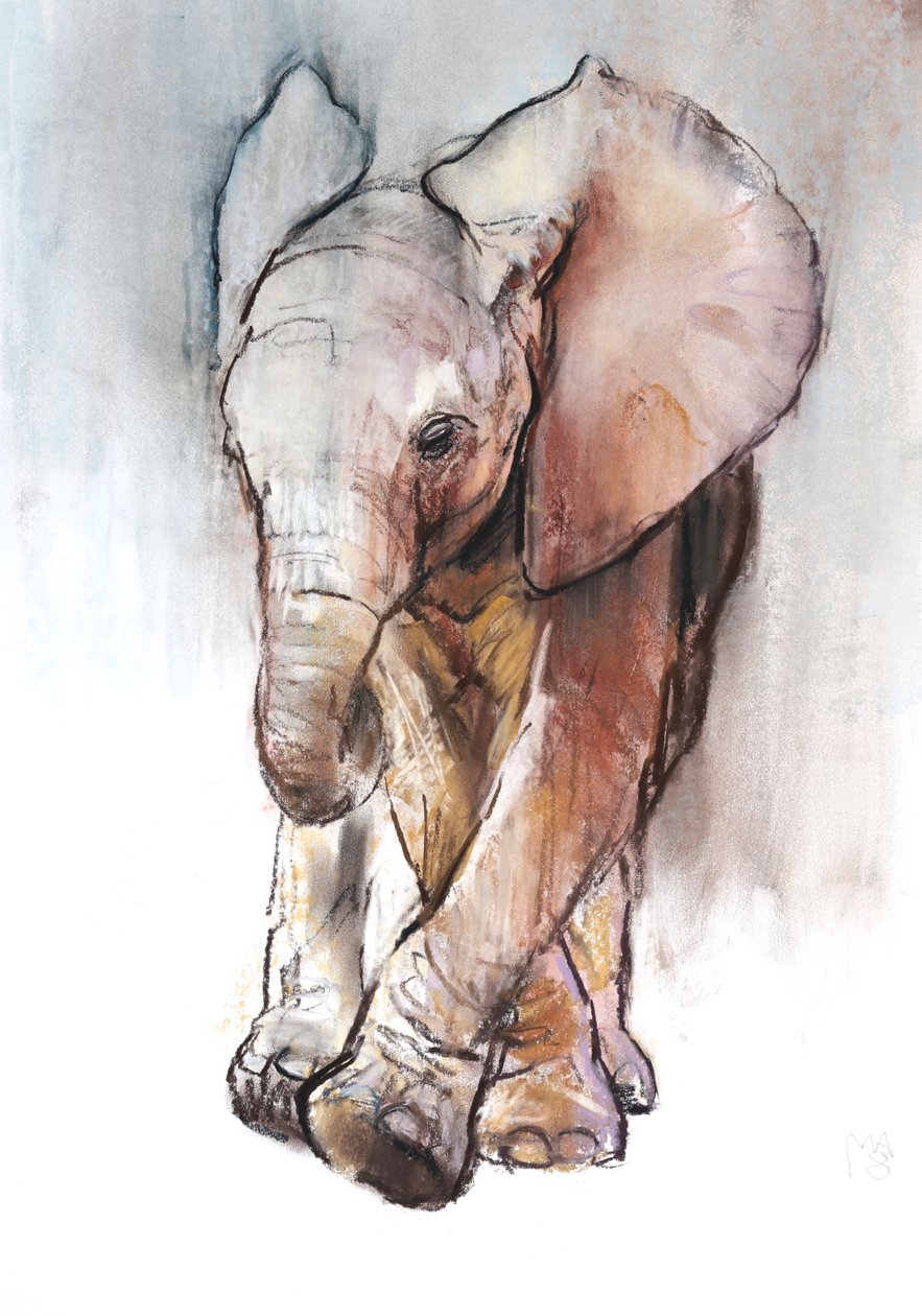 Baby Elephant 2, Loisaba, 2018 作者 马克·阿德灵顿