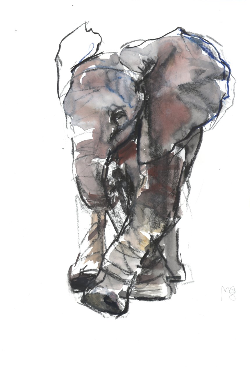 Baby Elephant Study, 2018 作者 马克·阿德灵顿
