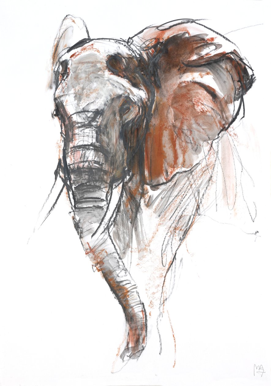 Beautiful Female Elephant, Loisaba, 2018 作者 马克·阿德灵顿