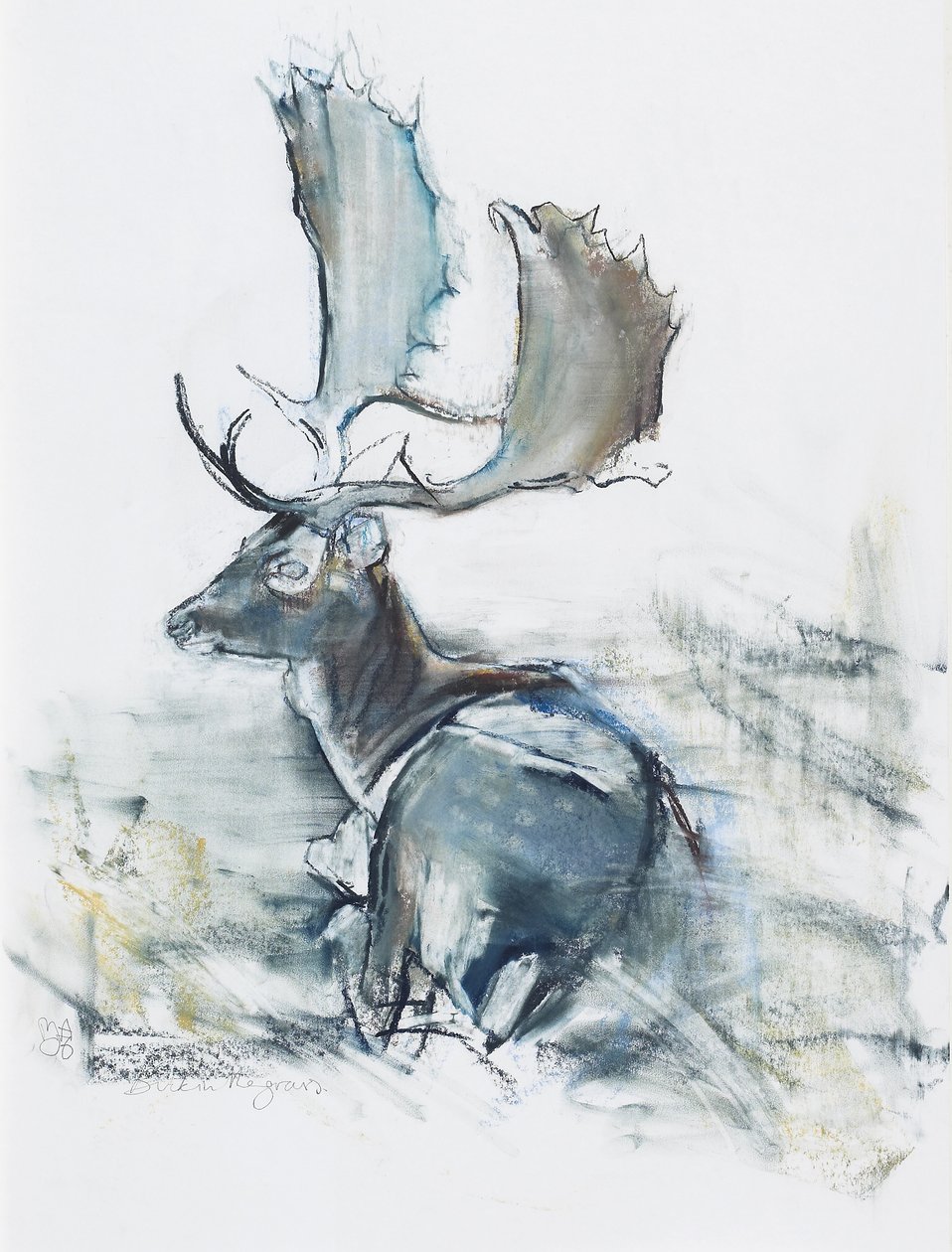 巴克在草丛中，2006年（木炭和纸上谈话） 作者 马克·阿德灵顿