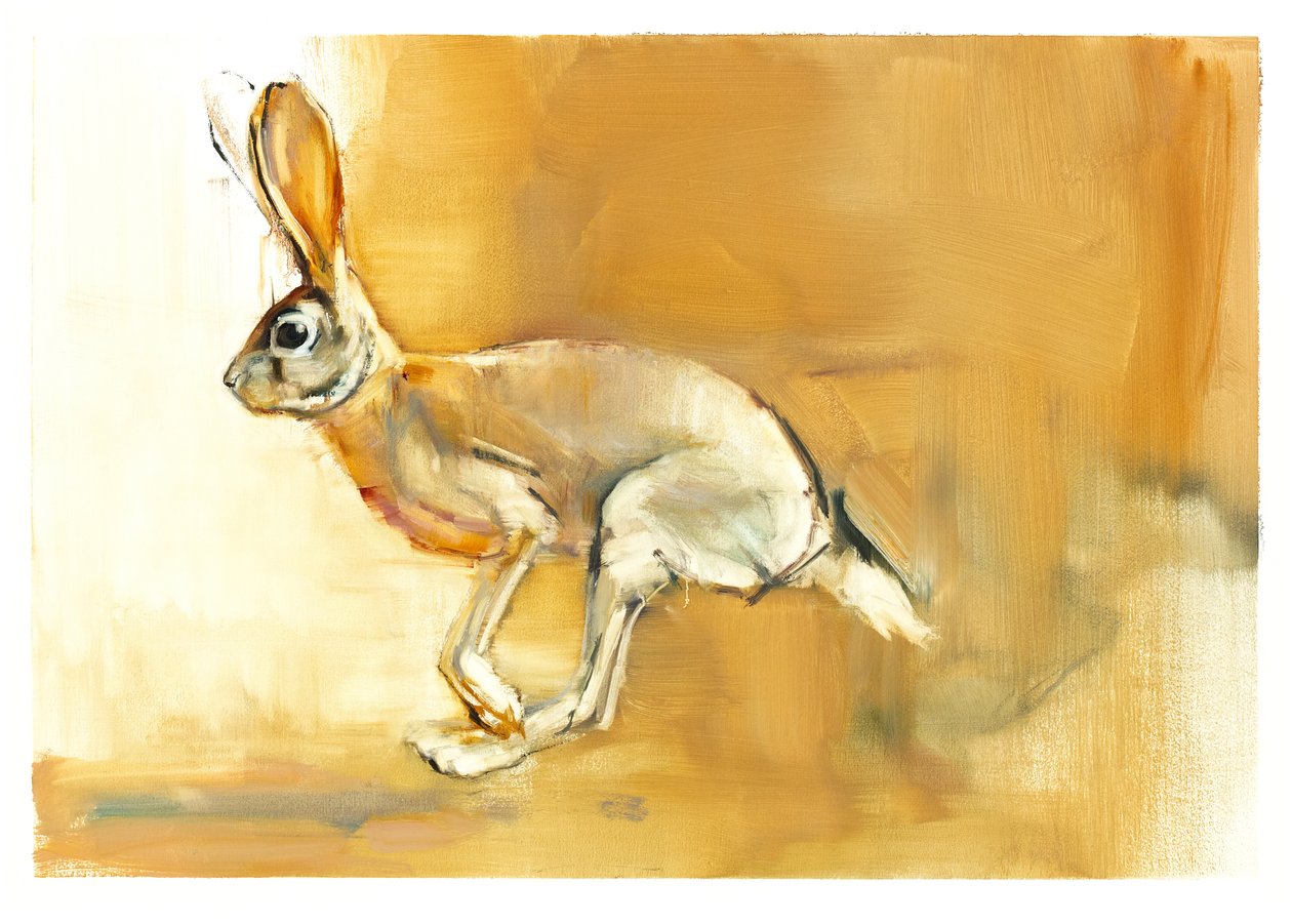 Cape Hare，2010（纸上谈兵） 作者 马克·阿德灵顿