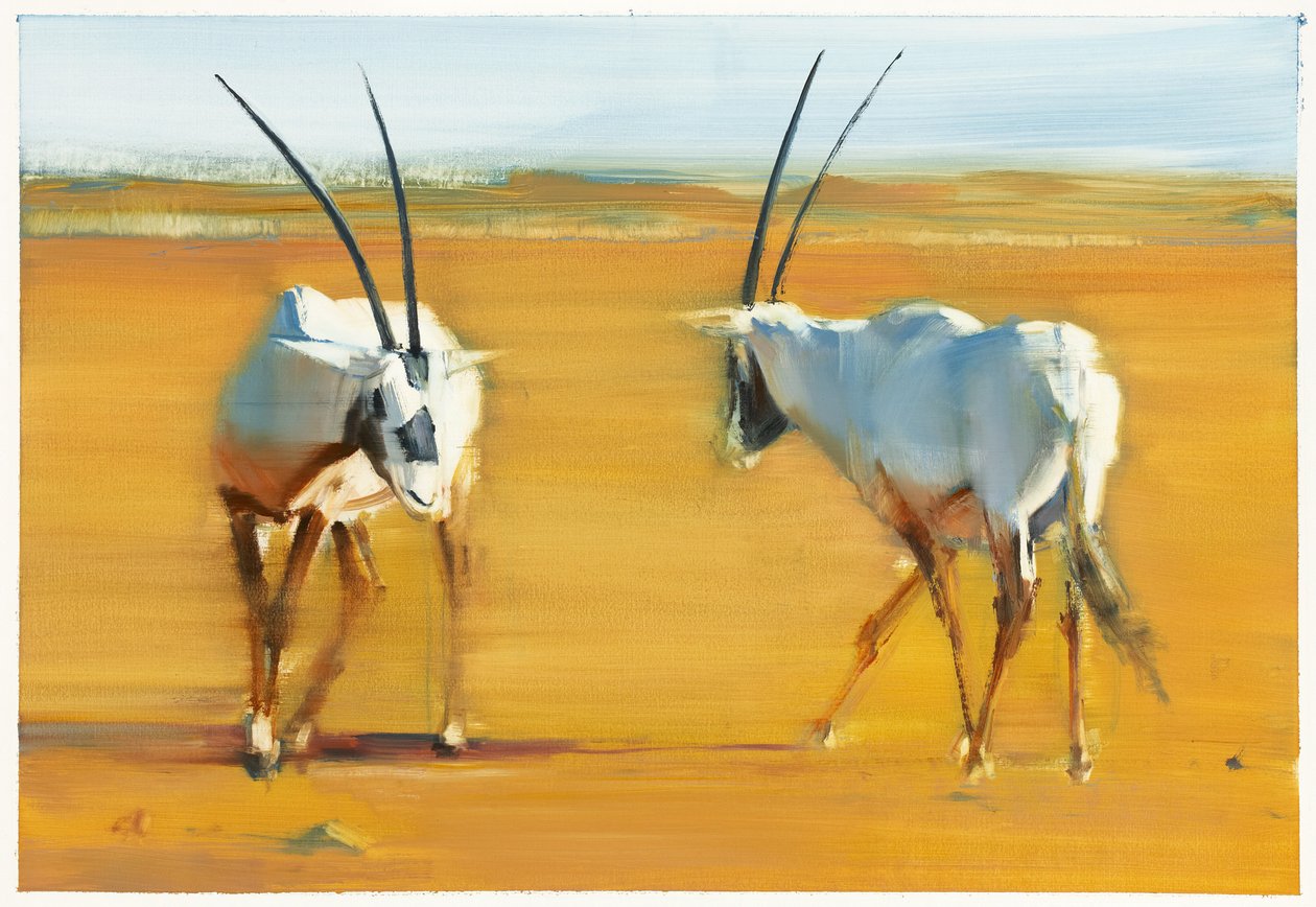 盘旋的阿拉伯大羚羊，2010年（纸上油画）。 作者 马克·阿德灵顿