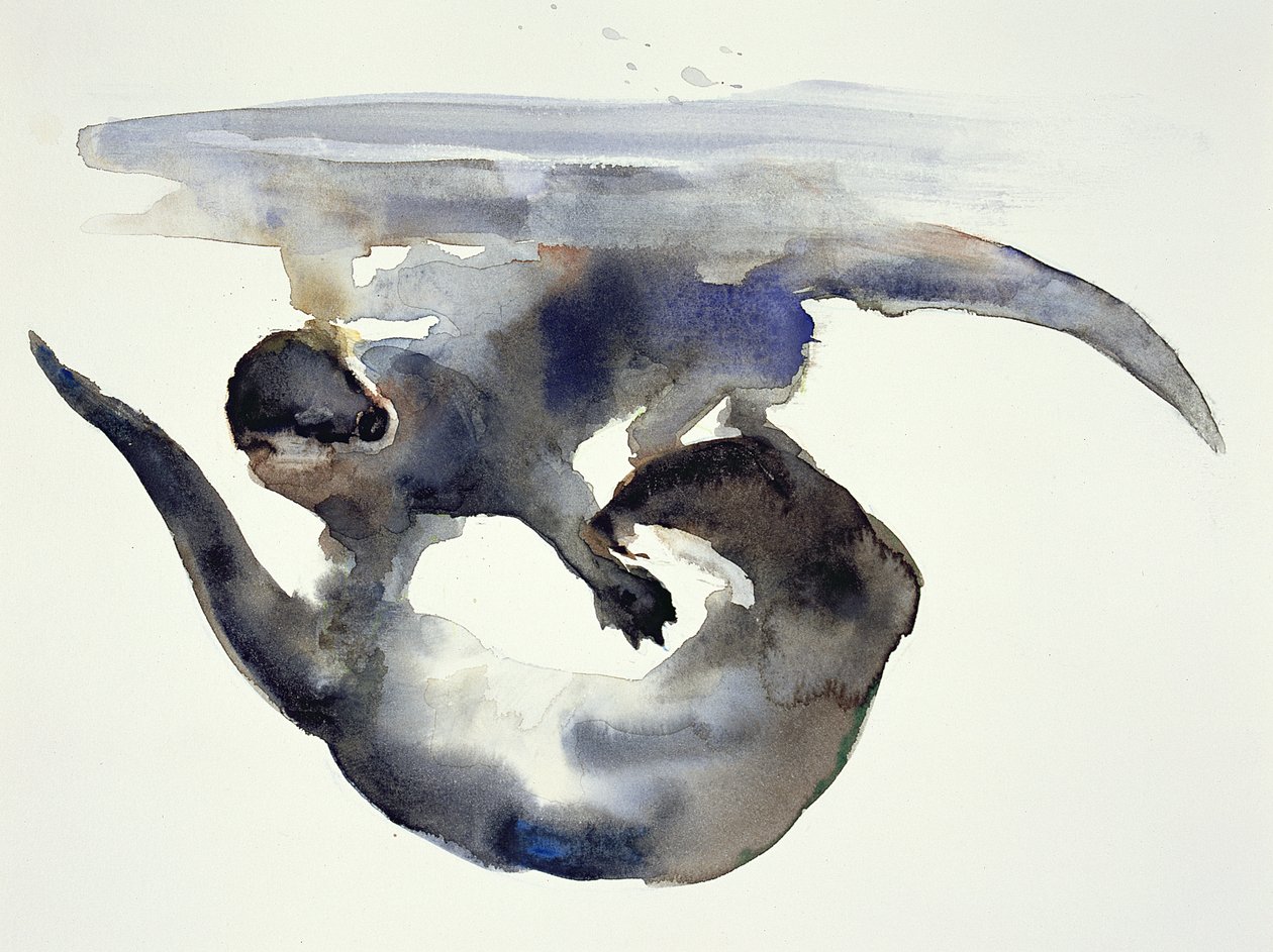 Courtship (watercolor on paper) 作者 马克·阿德灵顿