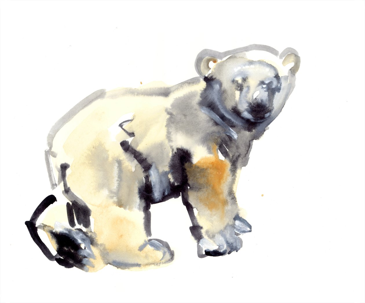 Cub，2015，（纸上水彩和水粉） 作者 马克·阿德灵顿