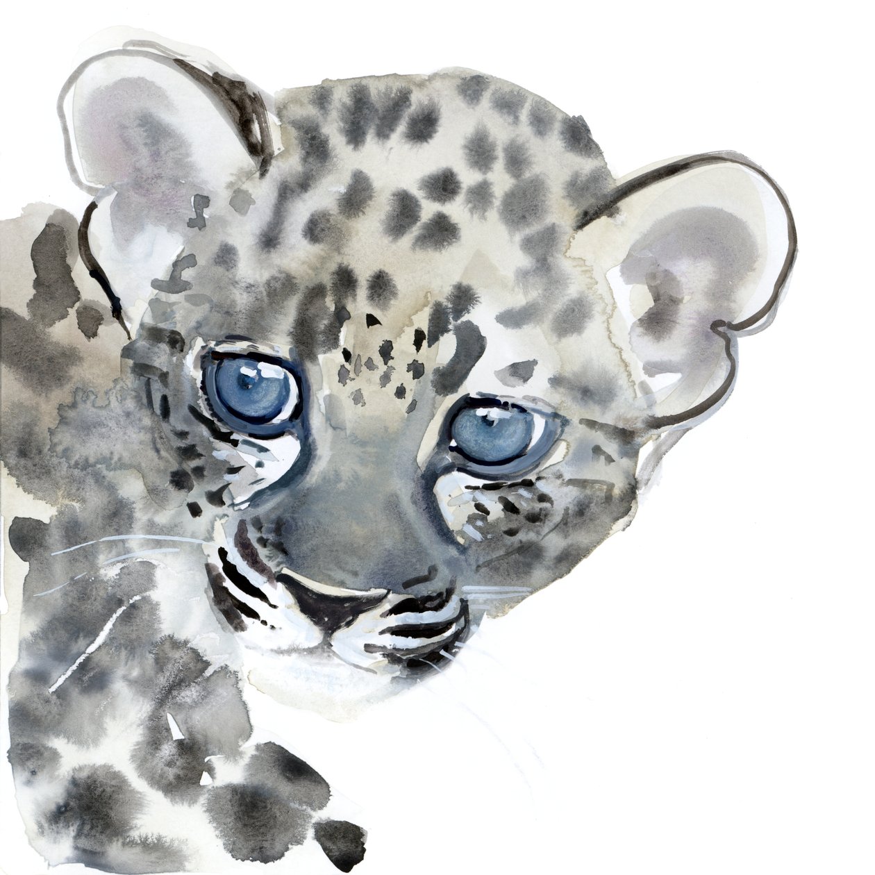 Cub，2015，（纸上水彩） 作者 马克·阿德灵顿