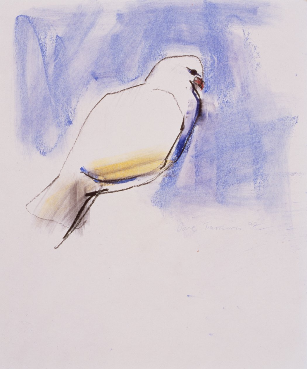 Dove，Trasierra，1998年（石墨，木炭和纸上谈话） 作者 马克·阿德灵顿