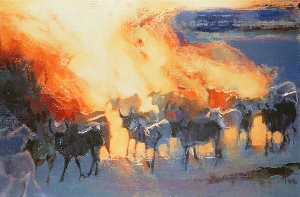 Dust Cloud，Drung，1996 作者 马克·阿德灵顿