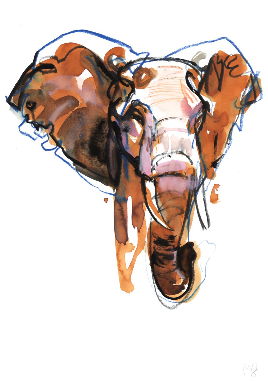Elephant Head study, 2018 作者 马克·阿德灵顿