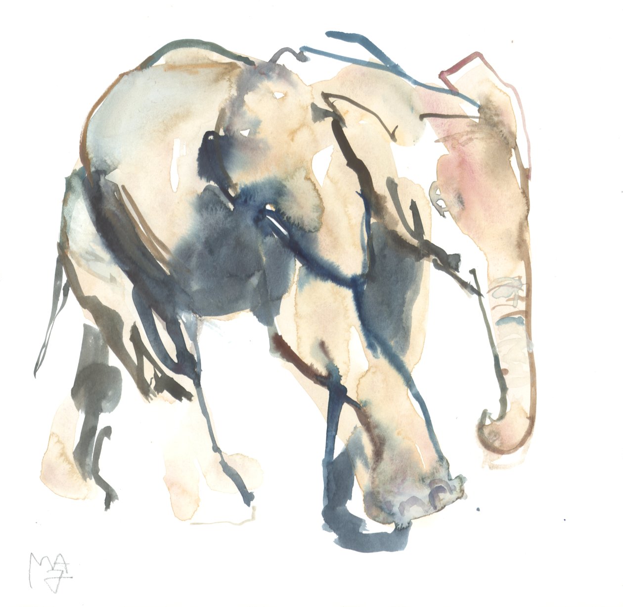 Elephant calf, Loisaba, 2017 (watercolour on paper)) 作者 马克·阿德灵顿
