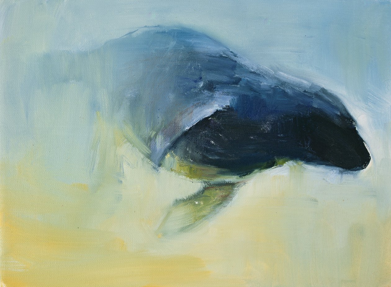 新兴，2003年 作者 马克·阿德灵顿