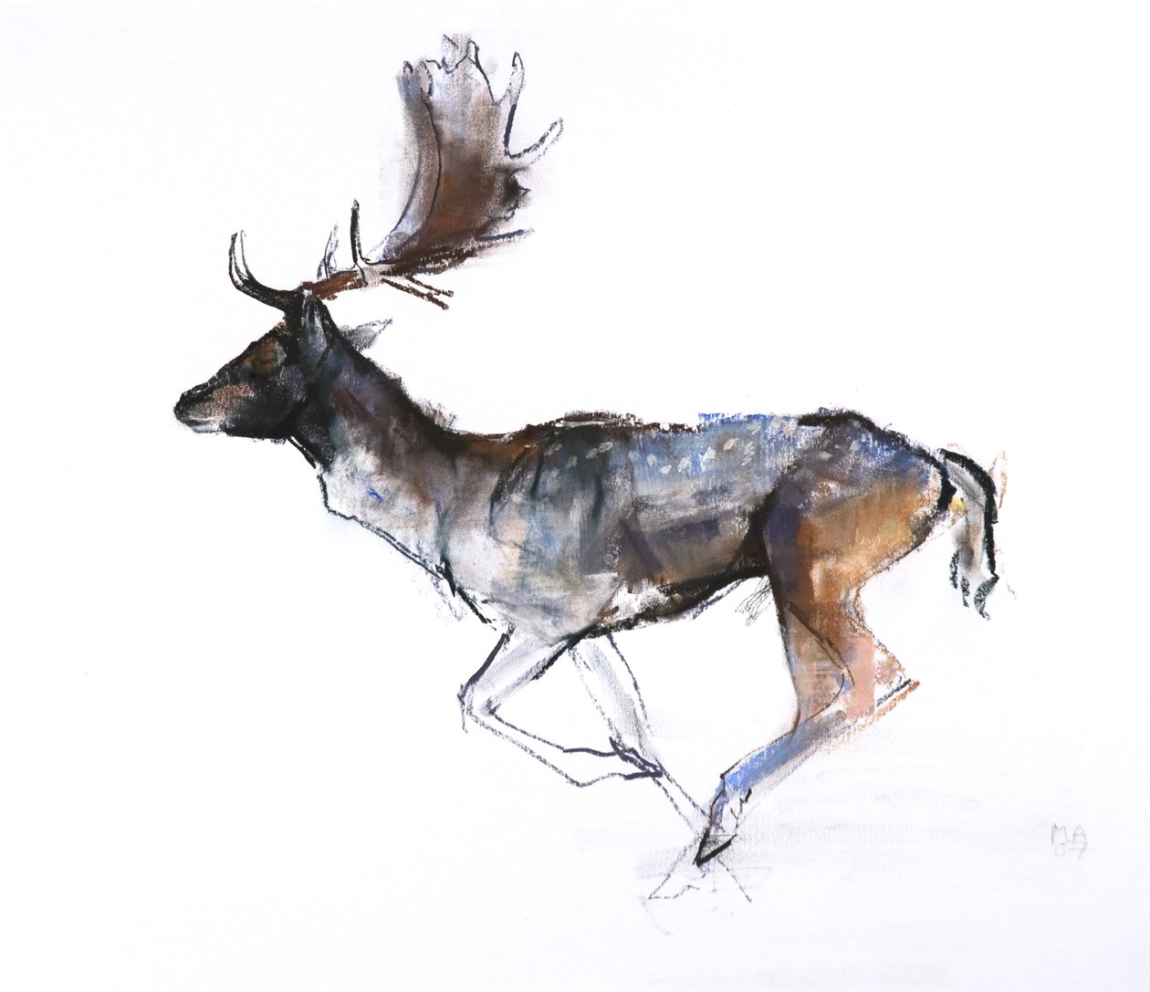 晚上巴克（小鹿），2007年，（粉彩和纸上谈话） 作者 马克·阿德灵顿
