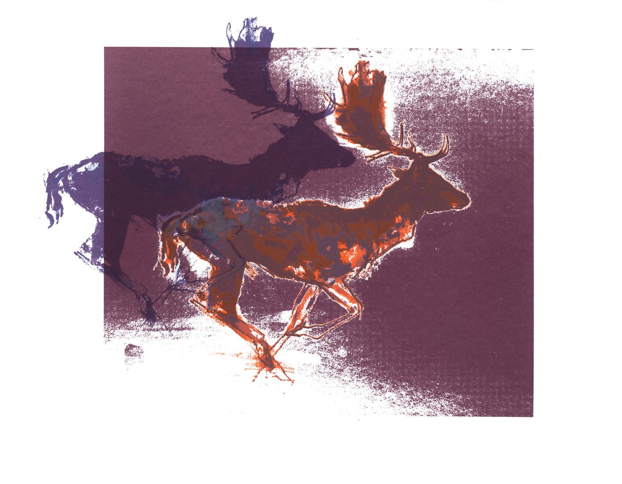 Fallow Bucks（orangelilac），2015，（丝网印刷） 作者 马克·阿德灵顿