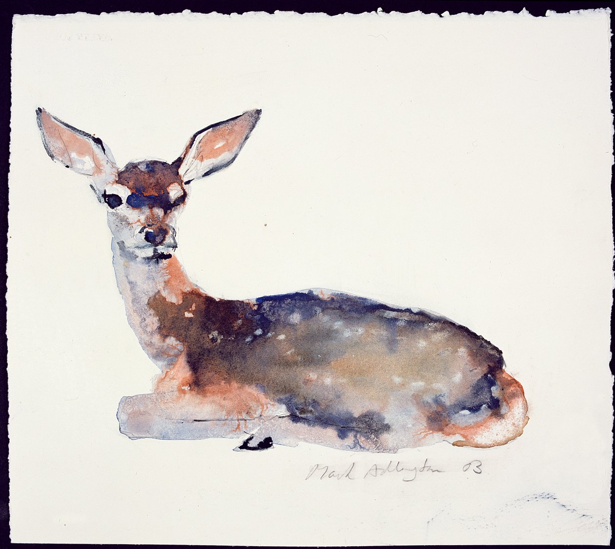 Fawn, 2003 (ink & watercolor on paper) 作者 马克·阿德灵顿