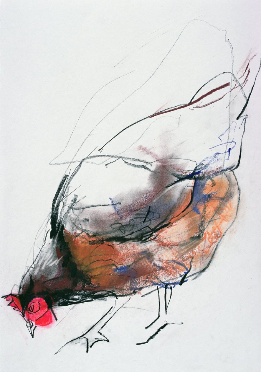 喂养母鸡，Trasierra，1998年（石墨，背景和纸上木炭） 作者 马克·阿德灵顿