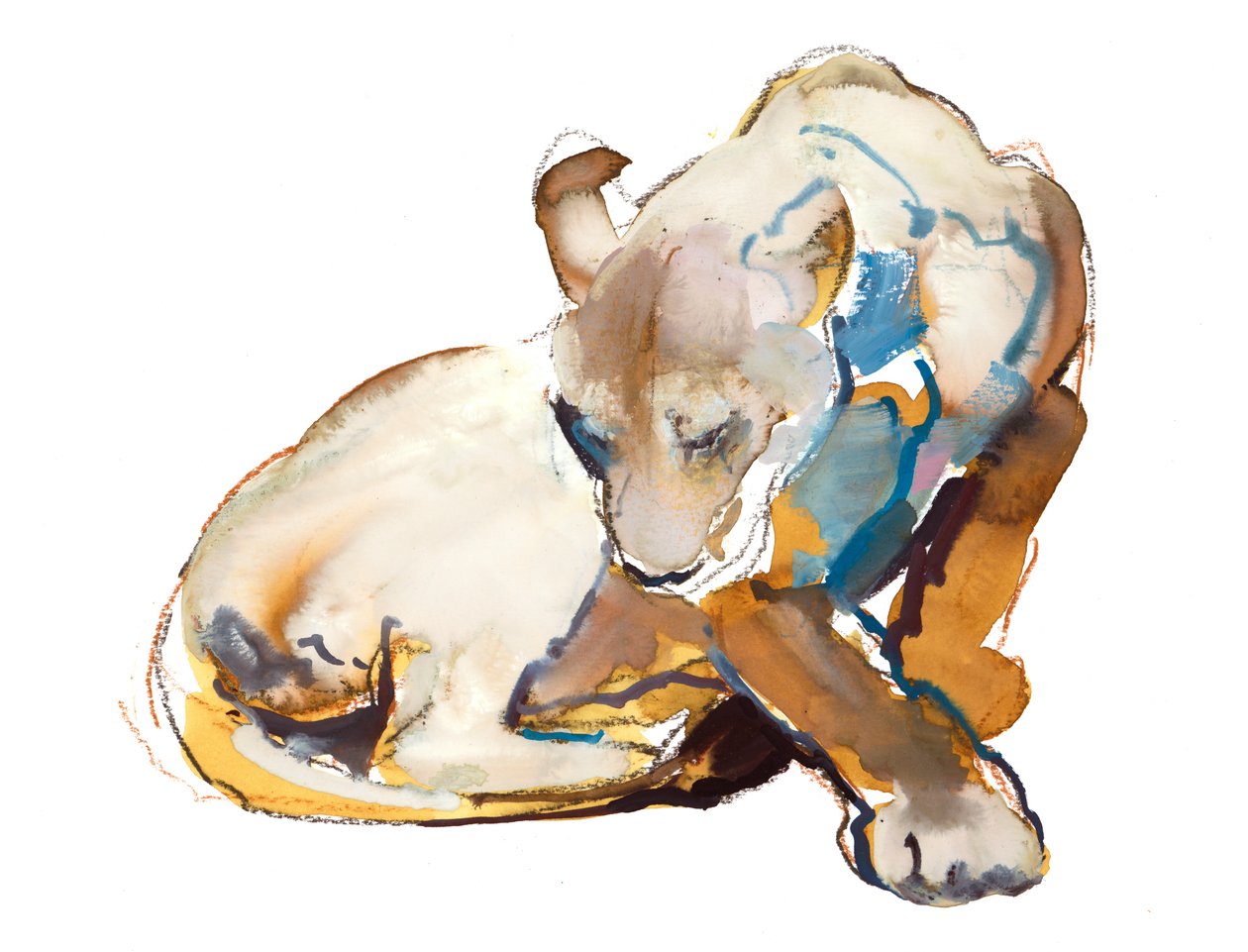 Feline Paint (lioness), 2020 作者 马克·阿德灵顿