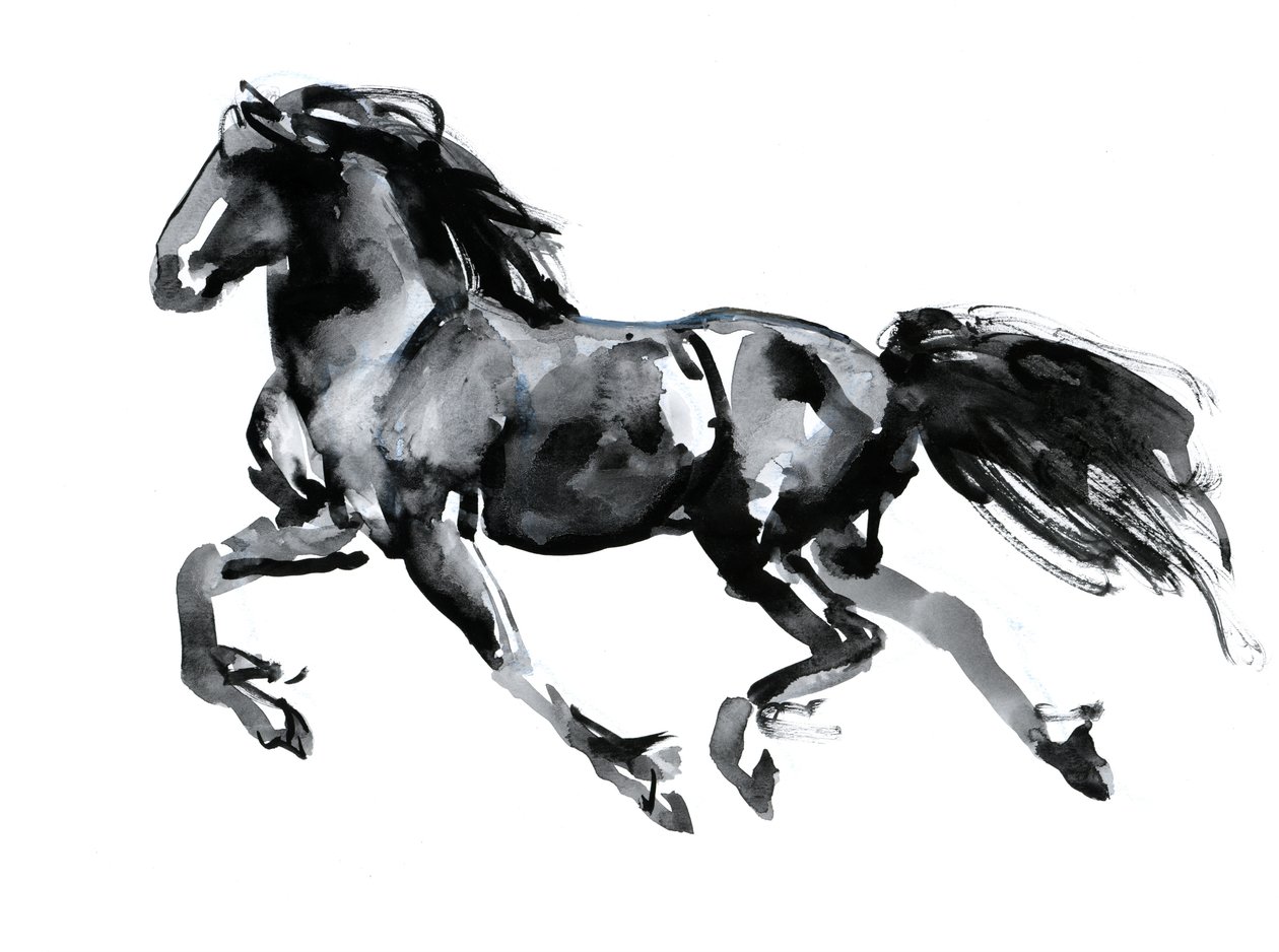 Flying Friesian，2015，（中国水墨纸） 作者 马克·阿德灵顿