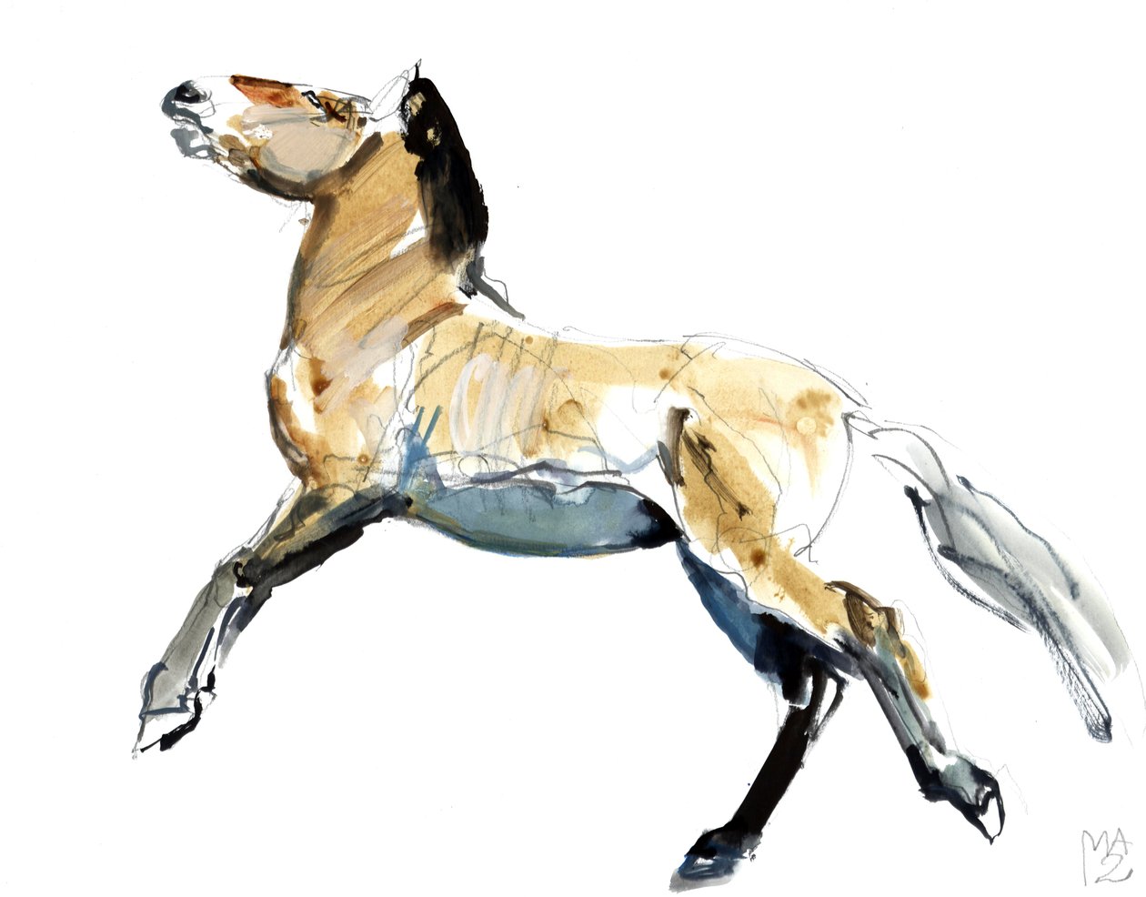 免费（Przewalski），2012年，（纸上混合媒体） 作者 马克·阿德灵顿