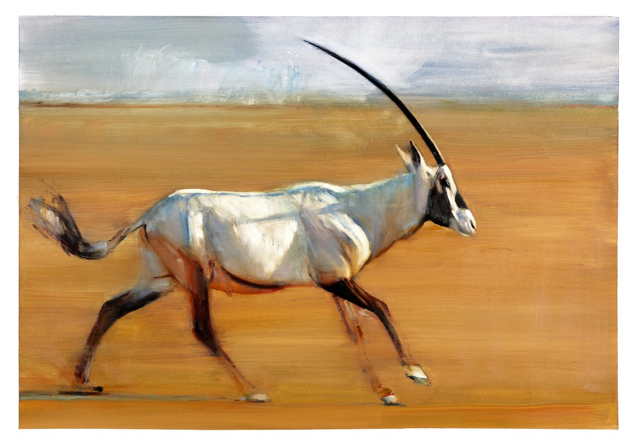 Galloping Oryx，2010（纸上谈兵） 作者 马克·阿德灵顿