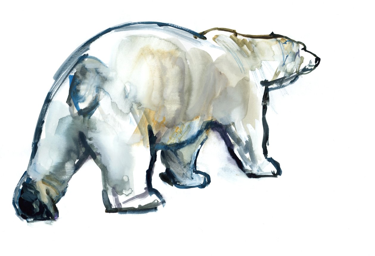 Glacier MInt（Polar bear），2013，（纸上水彩和水粉） 作者 马克·阿德灵顿