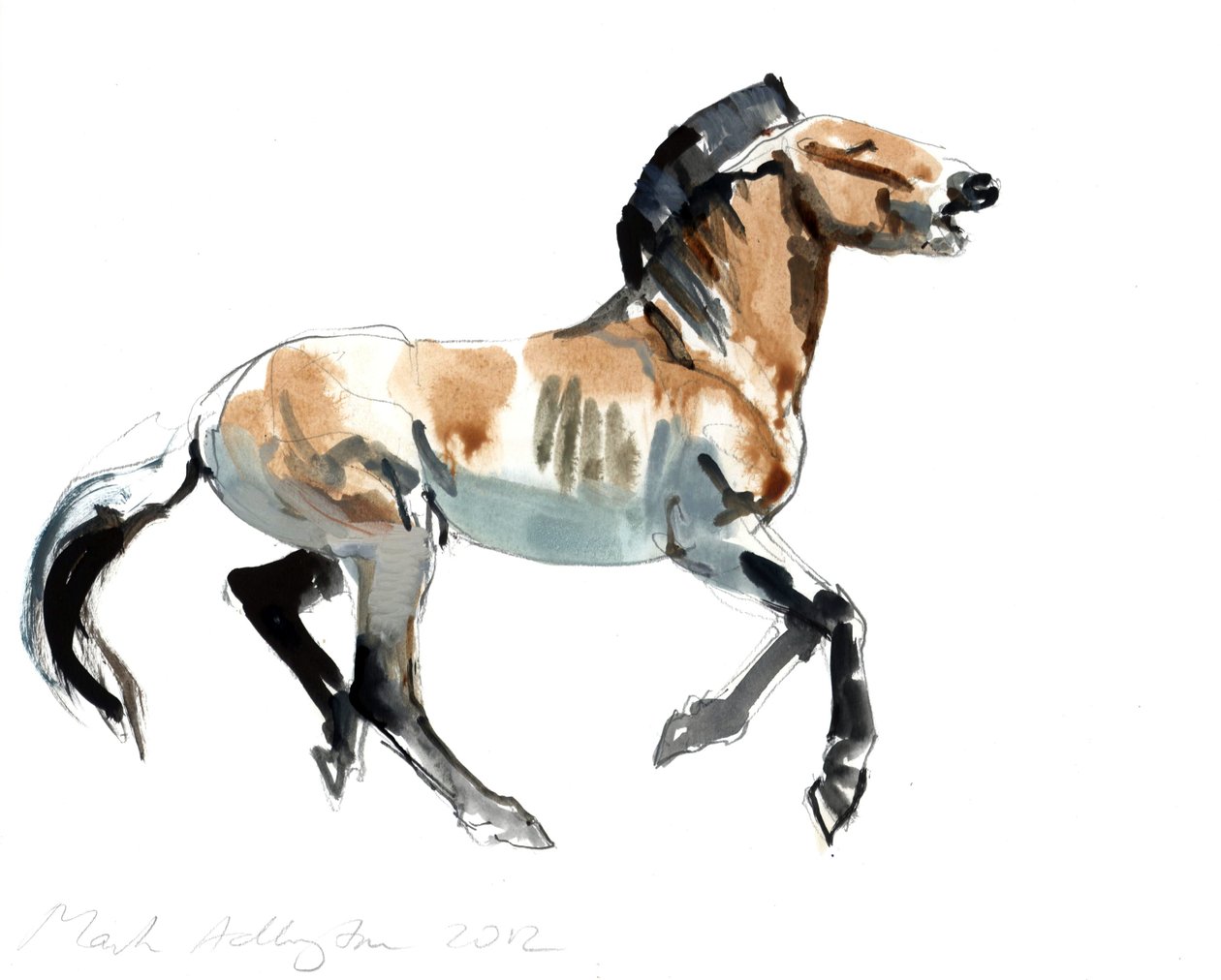 希腊语（Przewalski），2012年，（纸上混合媒体） 作者 马克·阿德灵顿