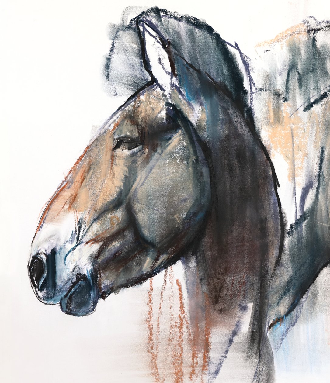 主题研究，Przewalski，2013，（细节），（粉彩和木炭在纸上） 作者 马克·阿德灵顿