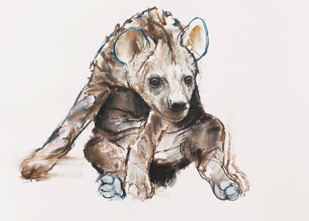 鬣狗幼崽（头朝下），2019年 作者 马克·阿德灵顿