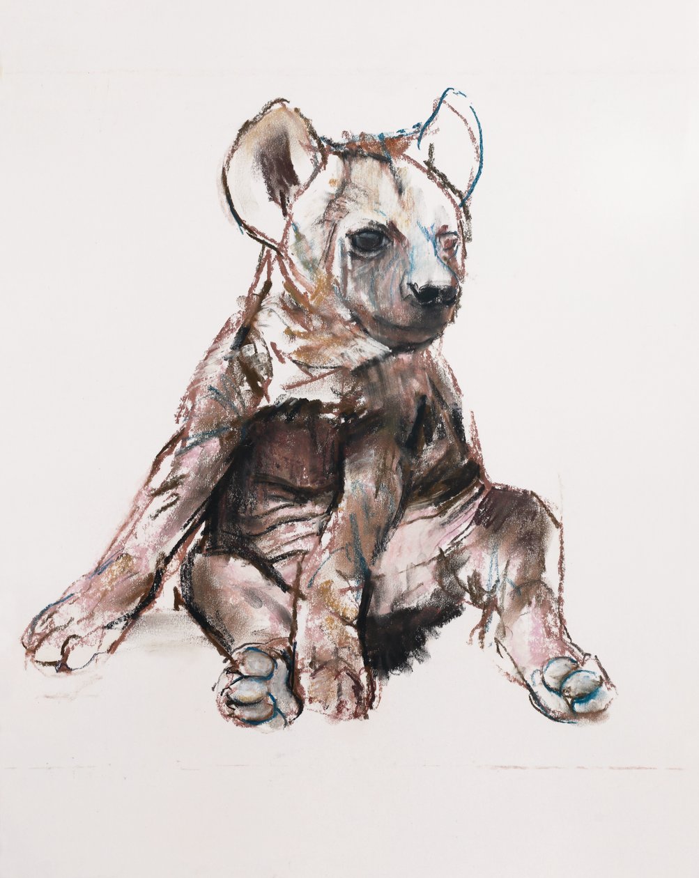 鬣狗幼崽（坐起来），2019年 作者 马克·阿德灵顿
