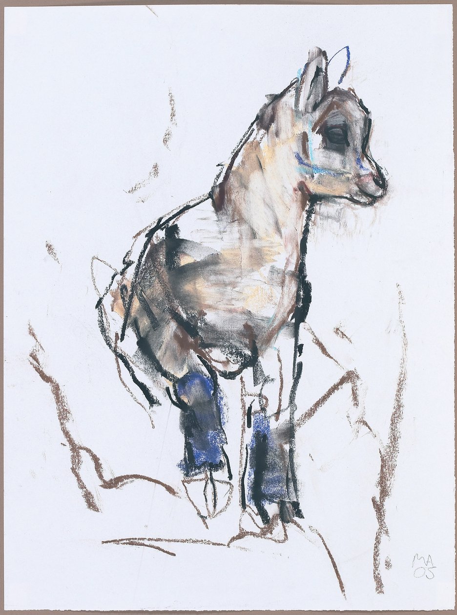 Ibex Kid（木炭和纸上谈话） 作者 马克·阿德灵顿