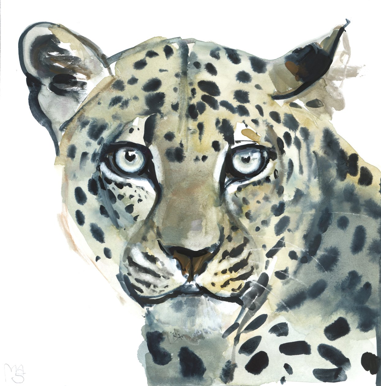 Leopard，2015，（纸上水彩） 作者 马克·阿德灵顿