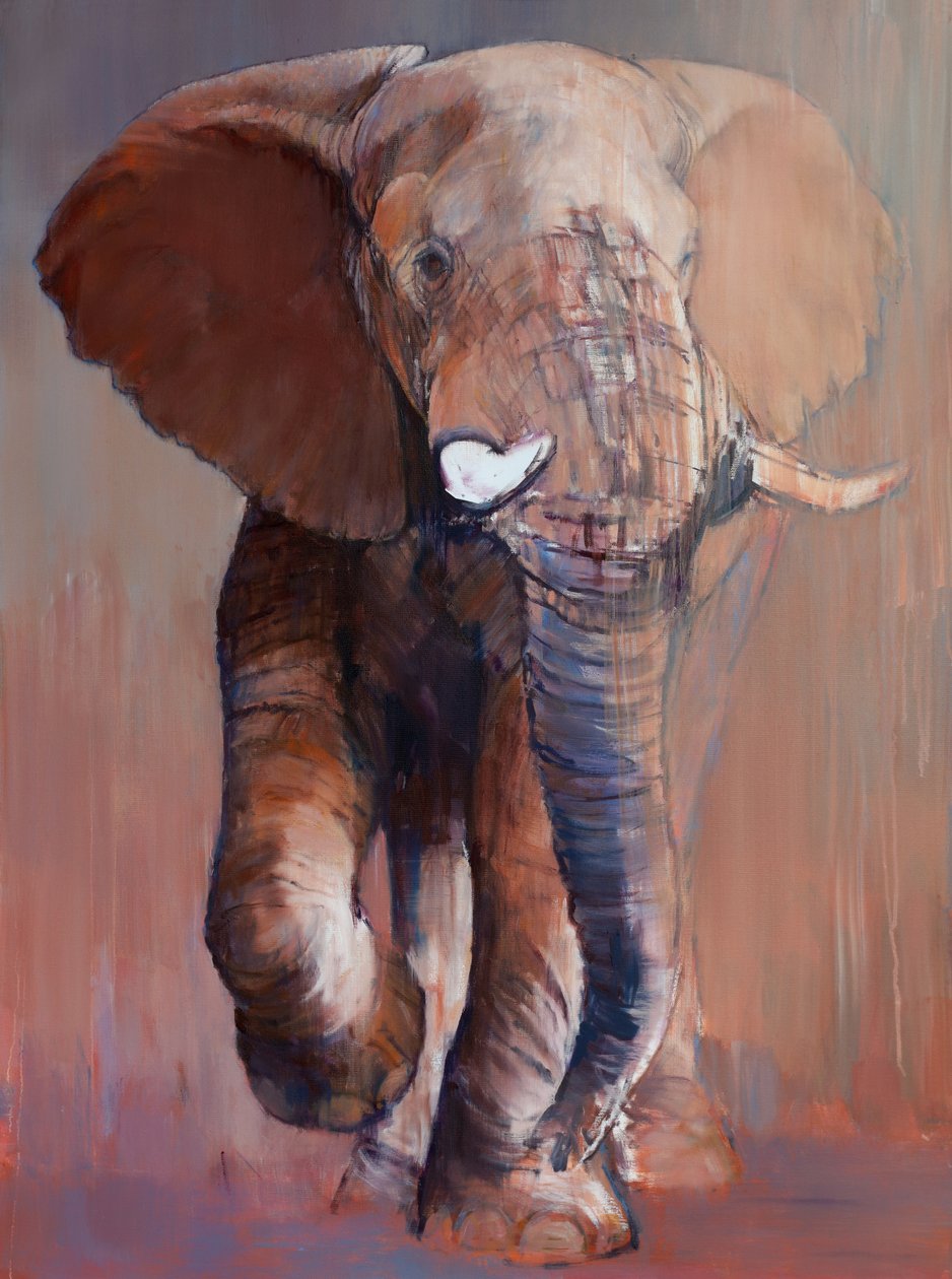 Loisaba Bull, 2018 作者 马克·阿德灵顿