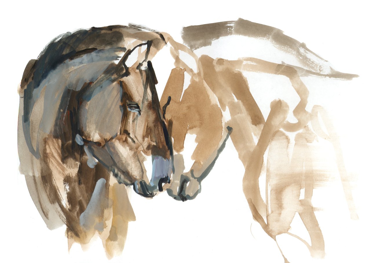 Nose to Nose（Przewalski），2013（sennelier墨水，水彩和水粉） 作者 马克·阿德灵顿