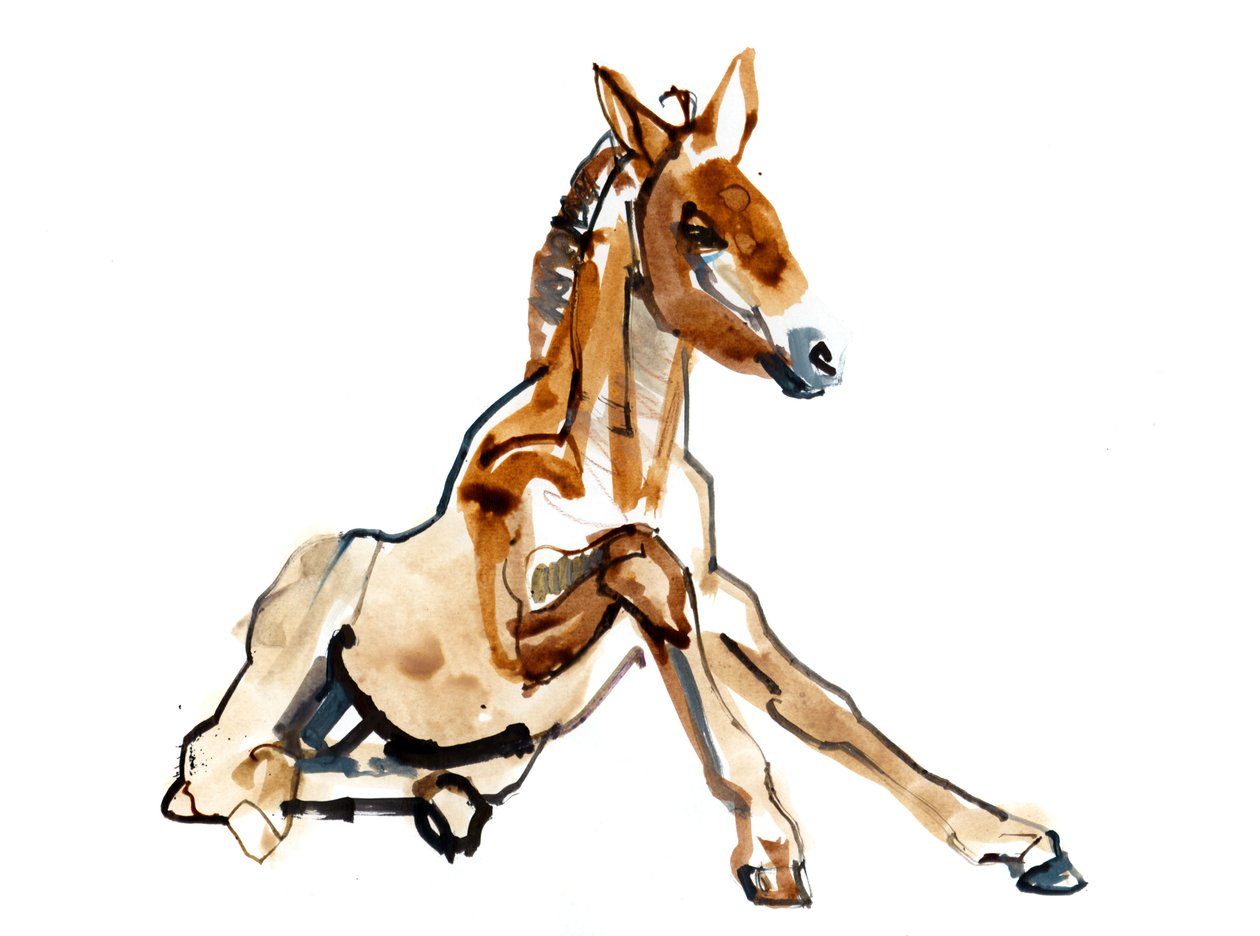 赭石驹（Przewalski），2013（油漆墨水，水彩和水粉） 作者 马克·阿德灵顿
