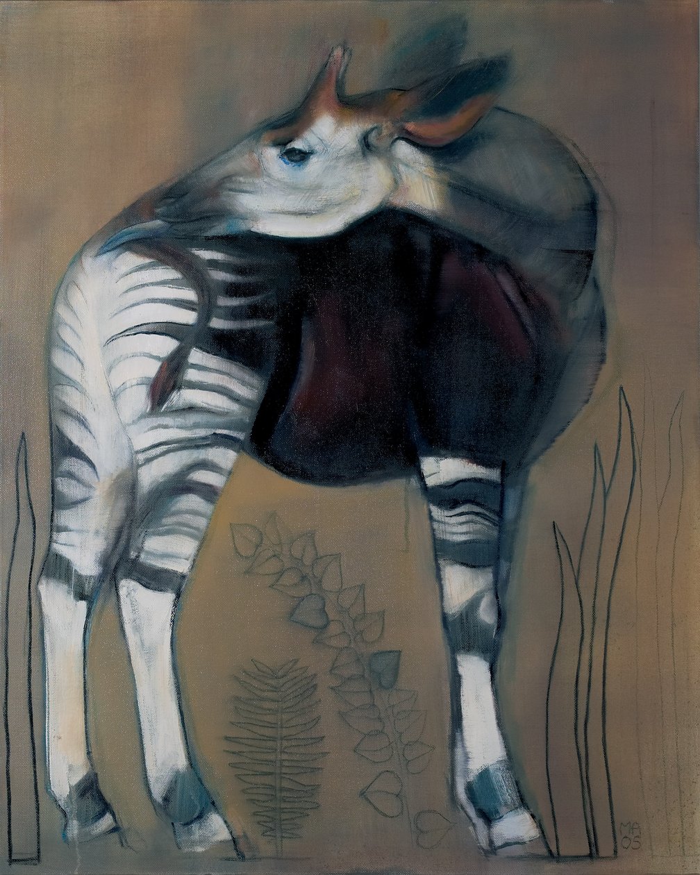 霍加皮，2005年 作者 马克·阿德灵顿