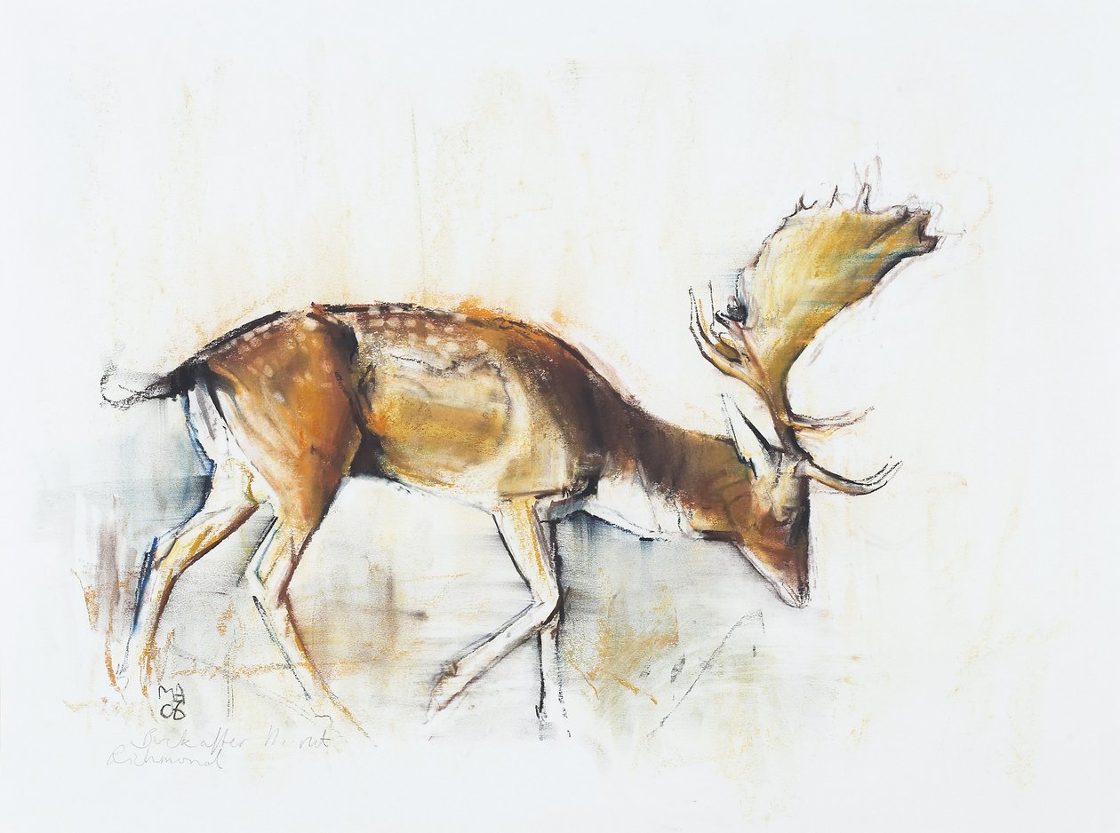 Pisanello Buck，2006年（木炭和纸上谈话） 作者 马克·阿德灵顿