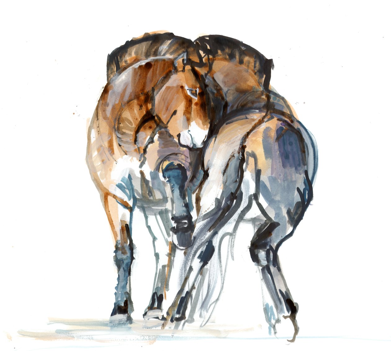 Power Dance（Przewalski），2013（sennelier墨水，水彩和水粉） 作者 马克·阿德灵顿