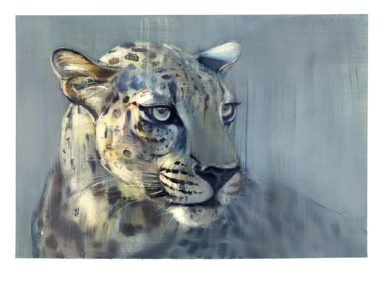 捕食者II（阿拉伯豹），2009年（纸上谈兵） 作者 马克·阿德灵顿