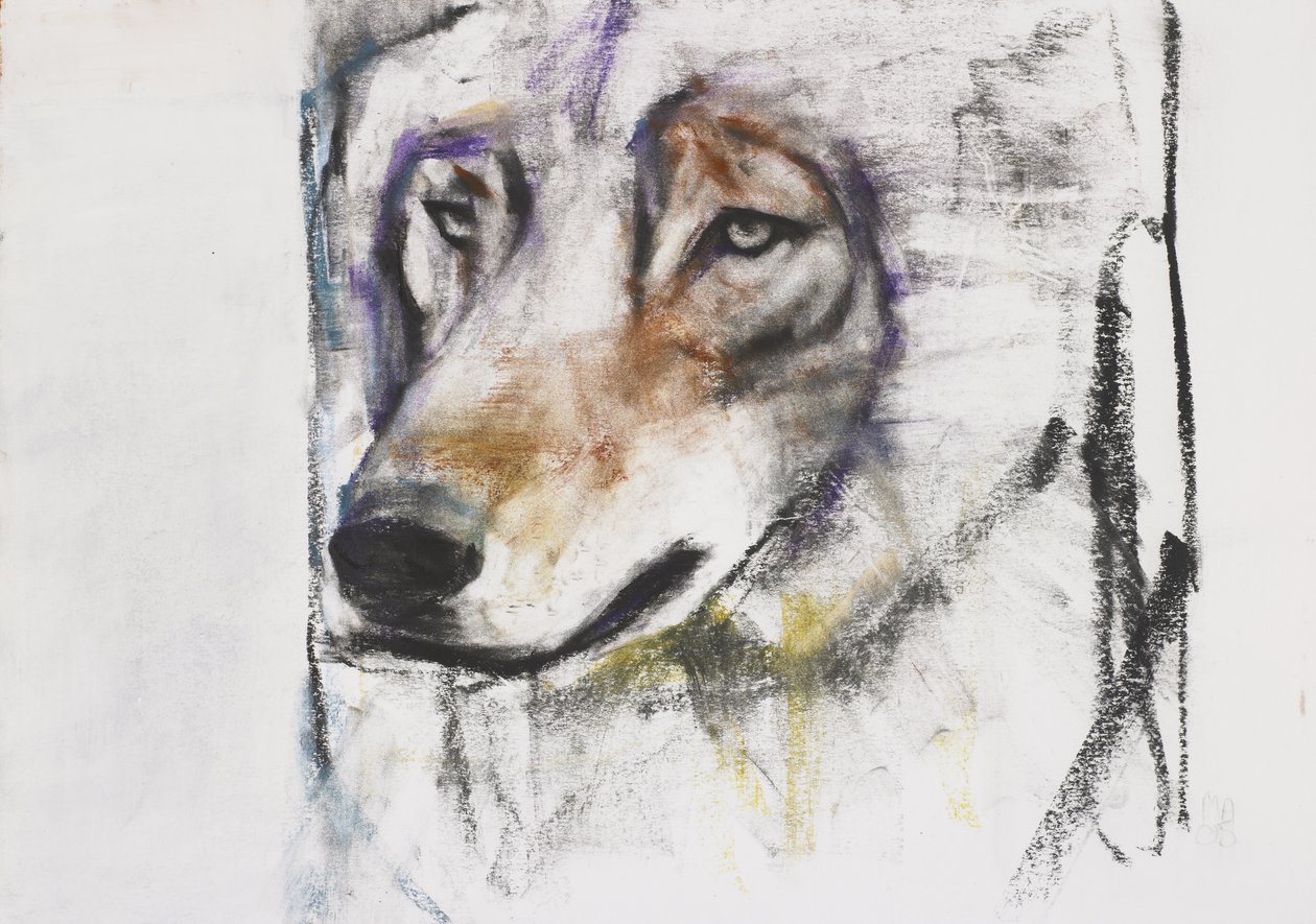 Wolf Process（纸上混合媒体） 作者 马克·阿德灵顿